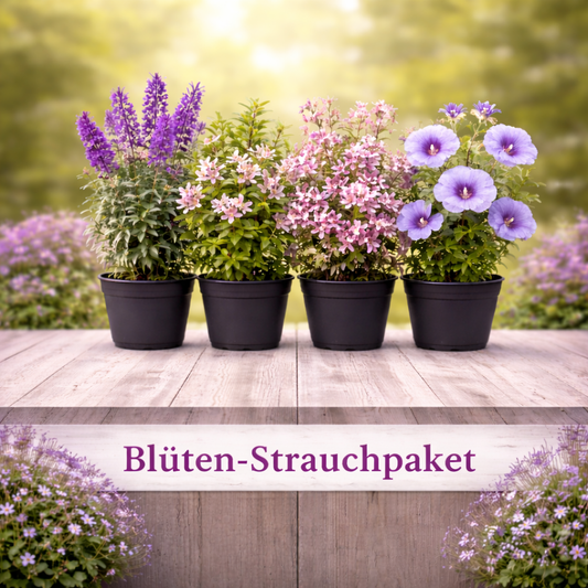 Premium Gartenstruktur  Blüten-Strauchpaket Lila-Weiß